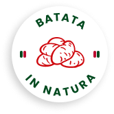 icon-batata-natura